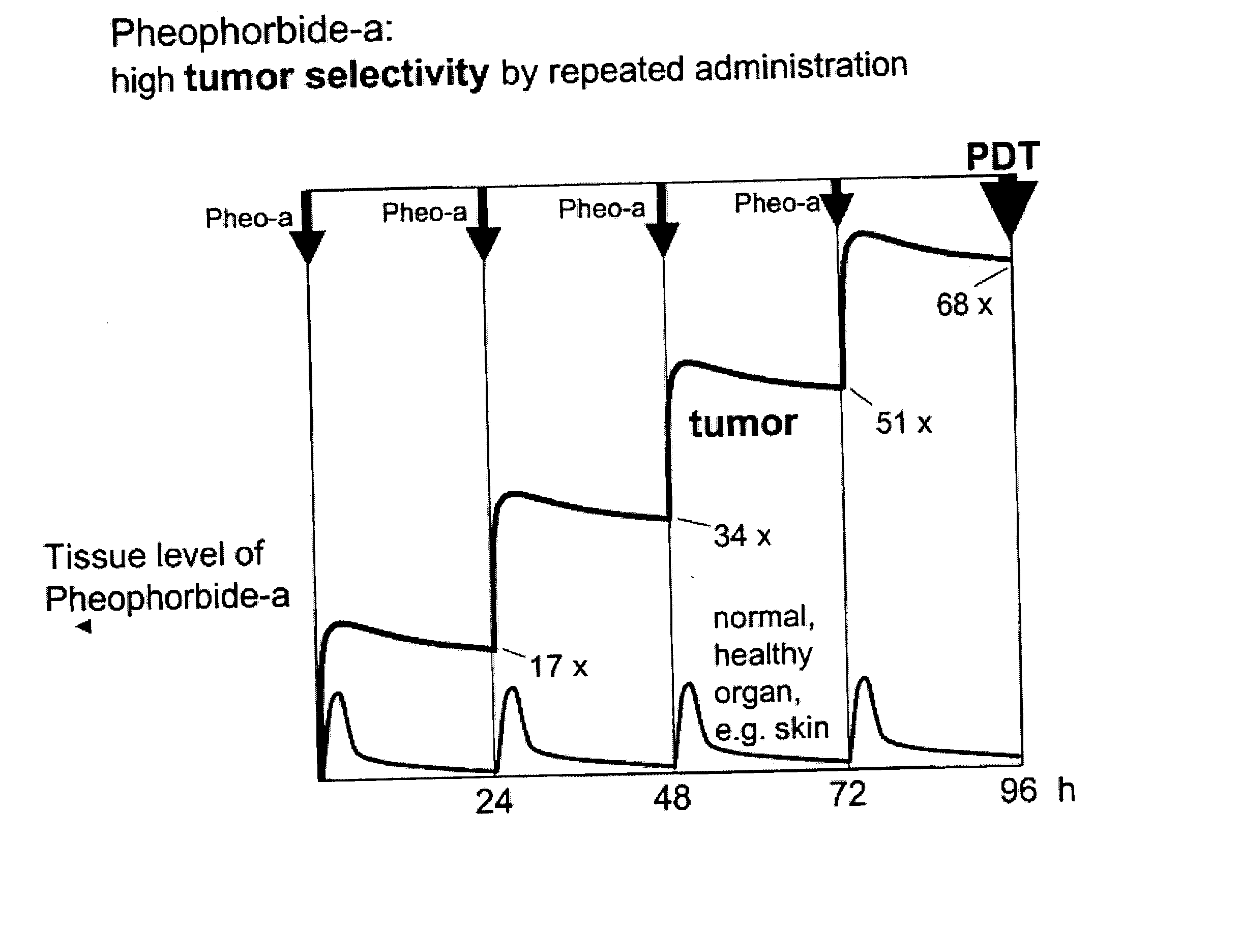 Efficacy and safety of photodynamic therapy by multiple application protocols with photosensitizers that show extended tumor retention