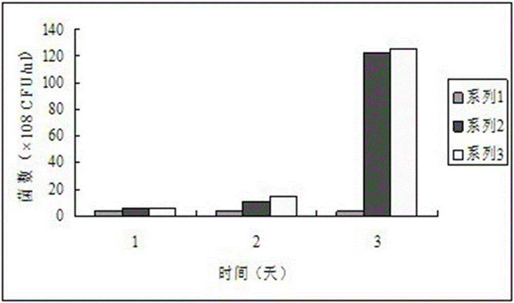 Lactobacillus acidophilus and bifidobacterium fermented active lactobacillus beverage and preparation method thereof