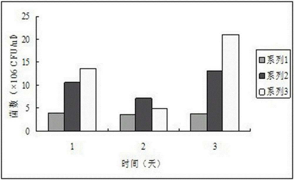 Lactobacillus acidophilus and bifidobacterium fermented active lactobacillus beverage and preparation method thereof