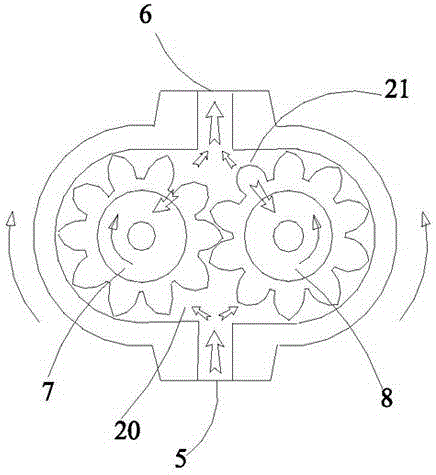 Vacuum gear pump