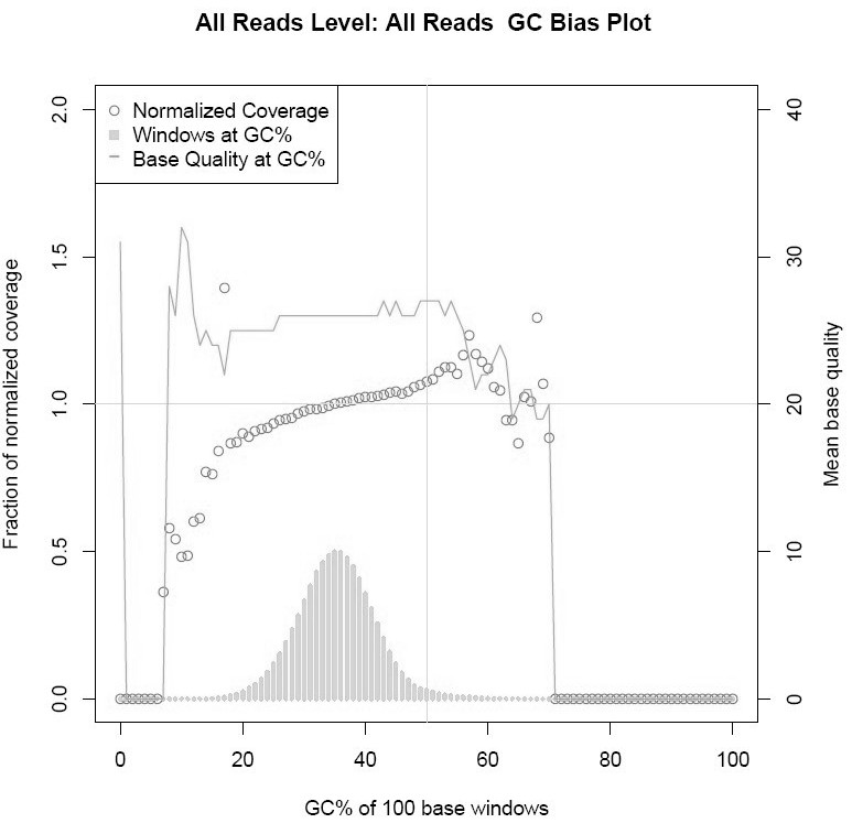 High-fidelity pfu DNA polymerase mutants, their encoding DNA and their application in NGS