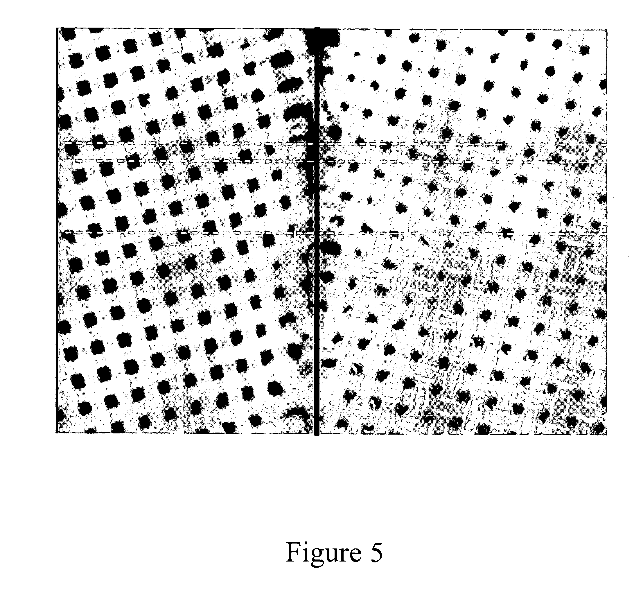 Transdermal delivery system for dried particulate or lyophilized peptides and polypeptides