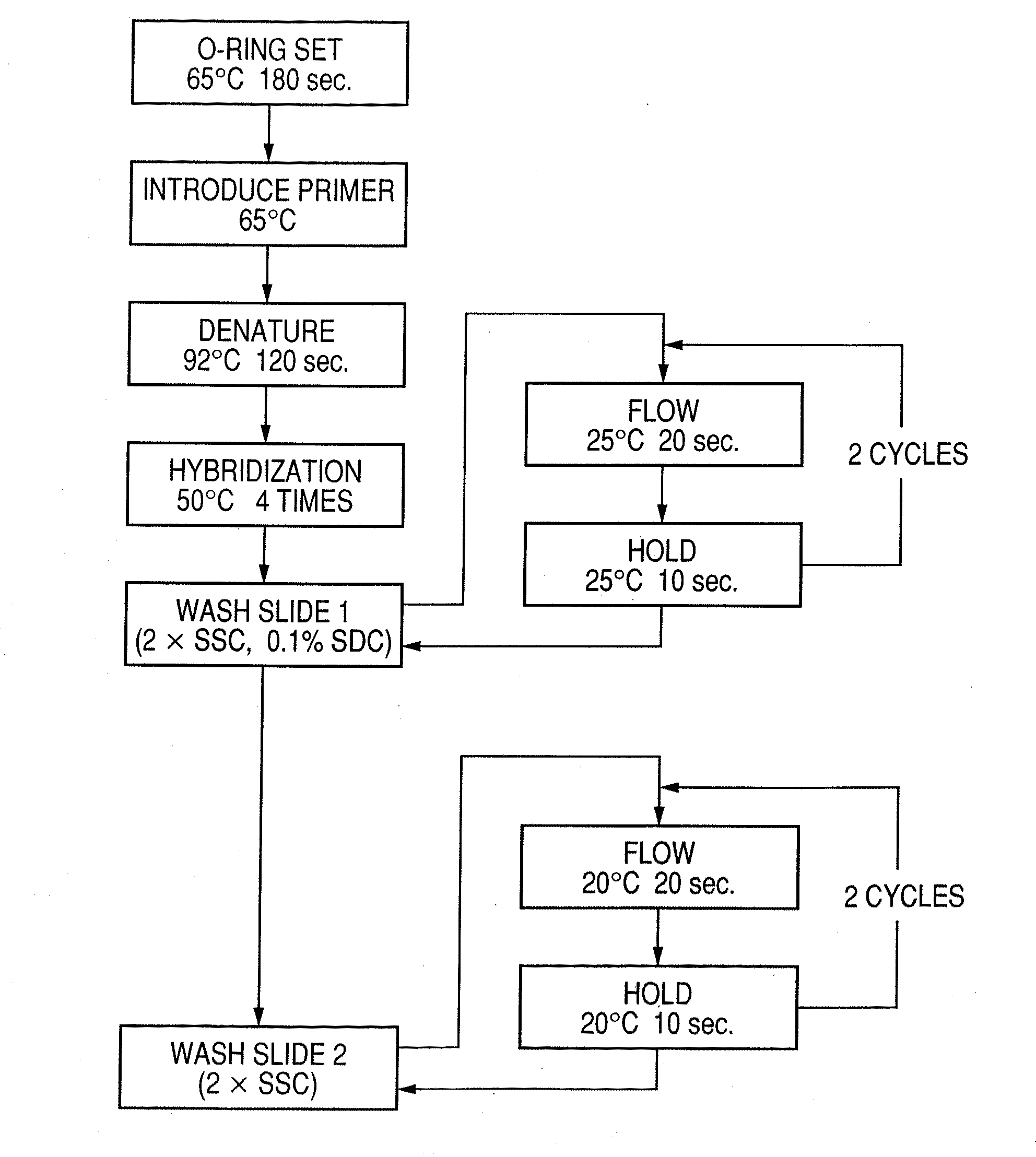 Probe, probe set, probe carrier, and testing method