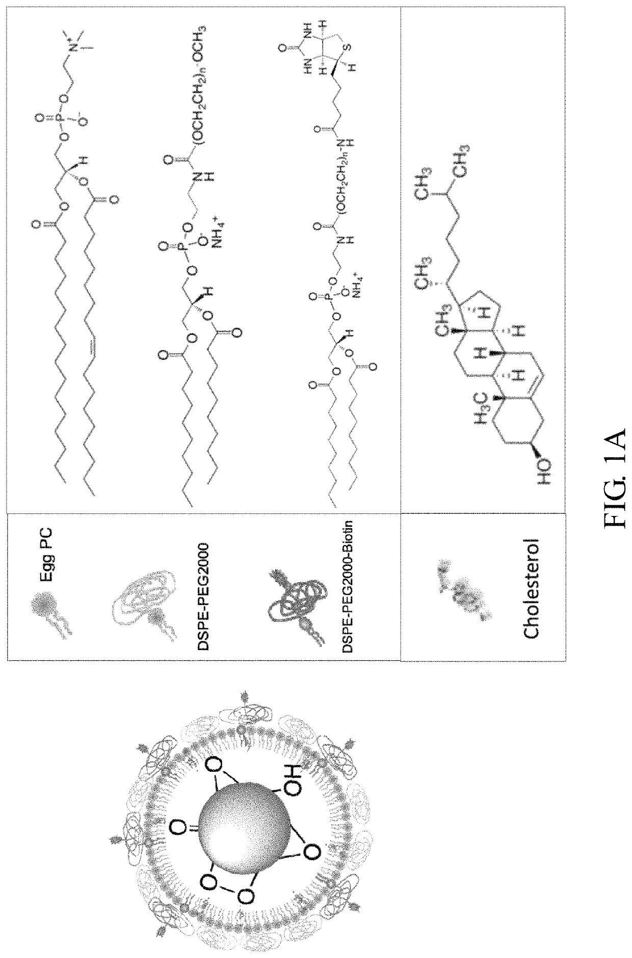 Encapsulated functionalized diamond crystal