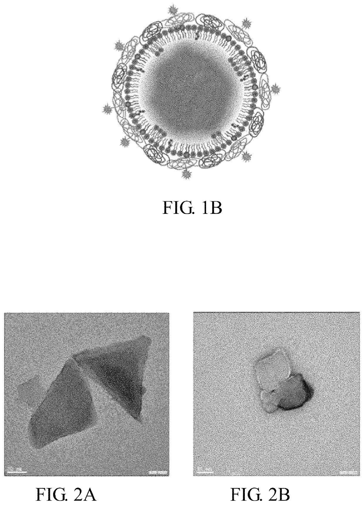 Encapsulated functionalized diamond crystal