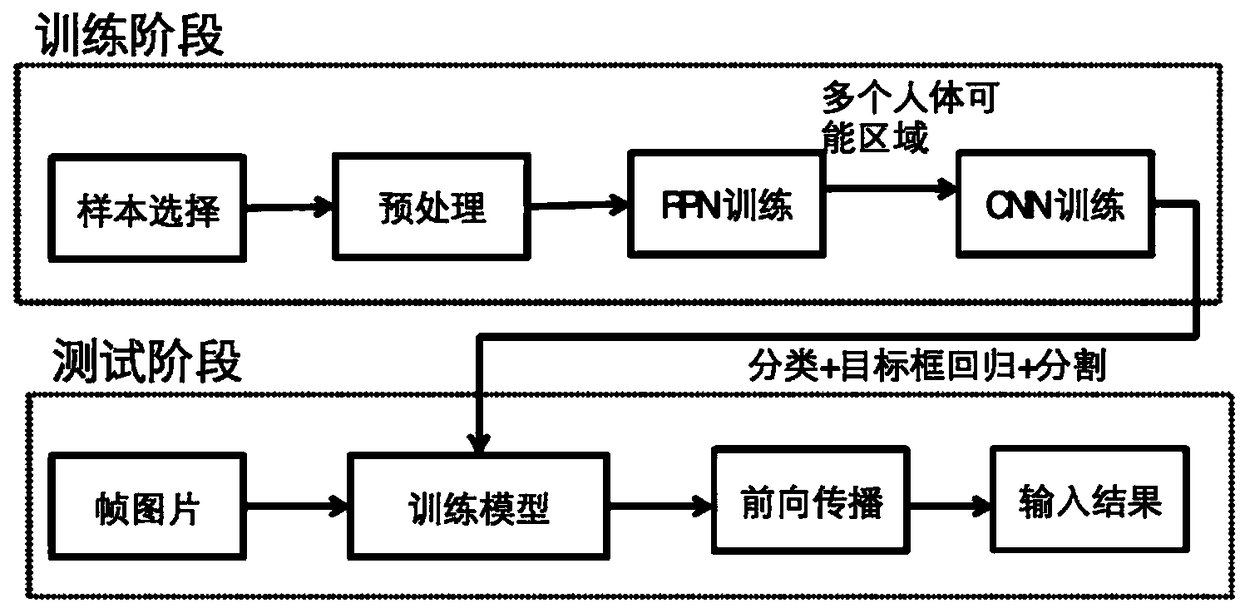 Method and system for acquiring human body back curve based on camera