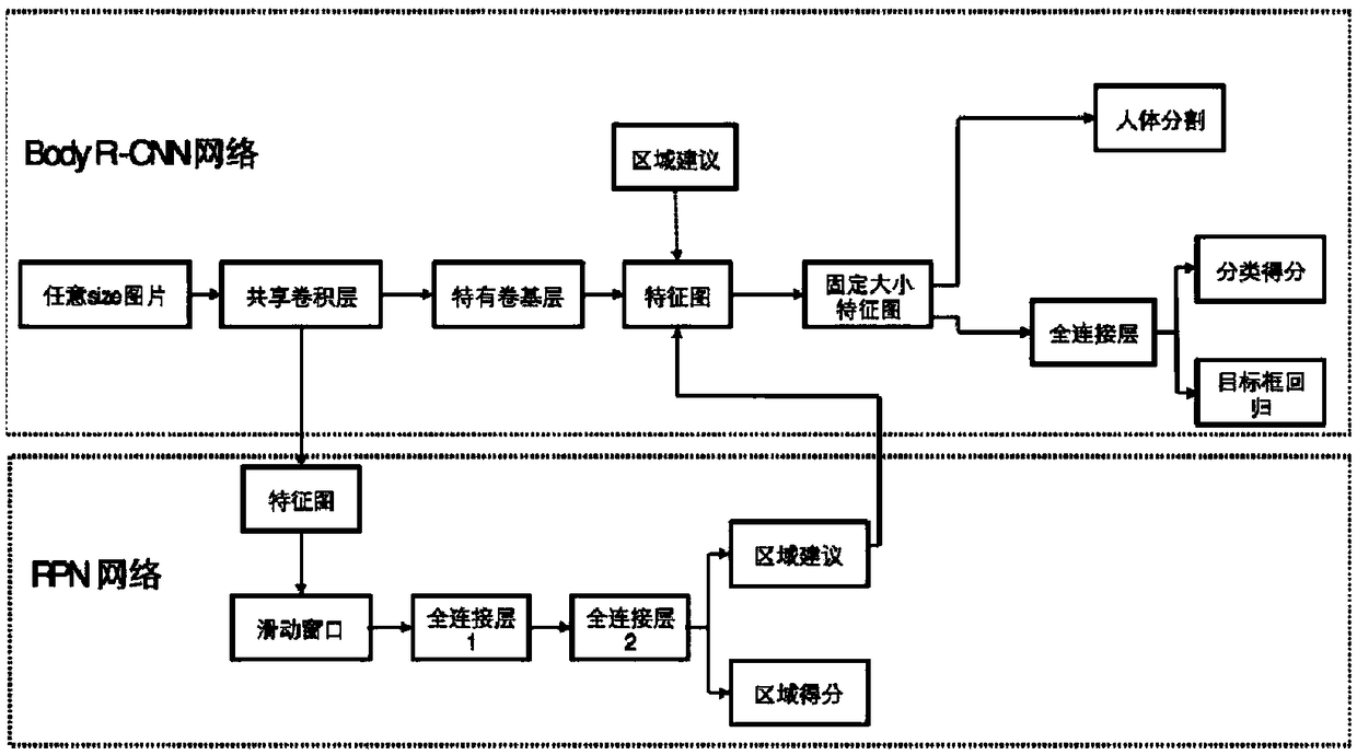 Method and system for acquiring human body back curve based on camera