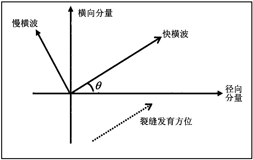 Multi-component converted wave fracture prediction method based on rank correlation analysis