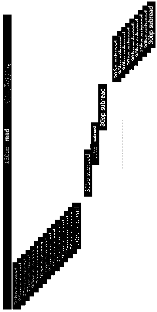 Method and device for detecting human genome virus integration site