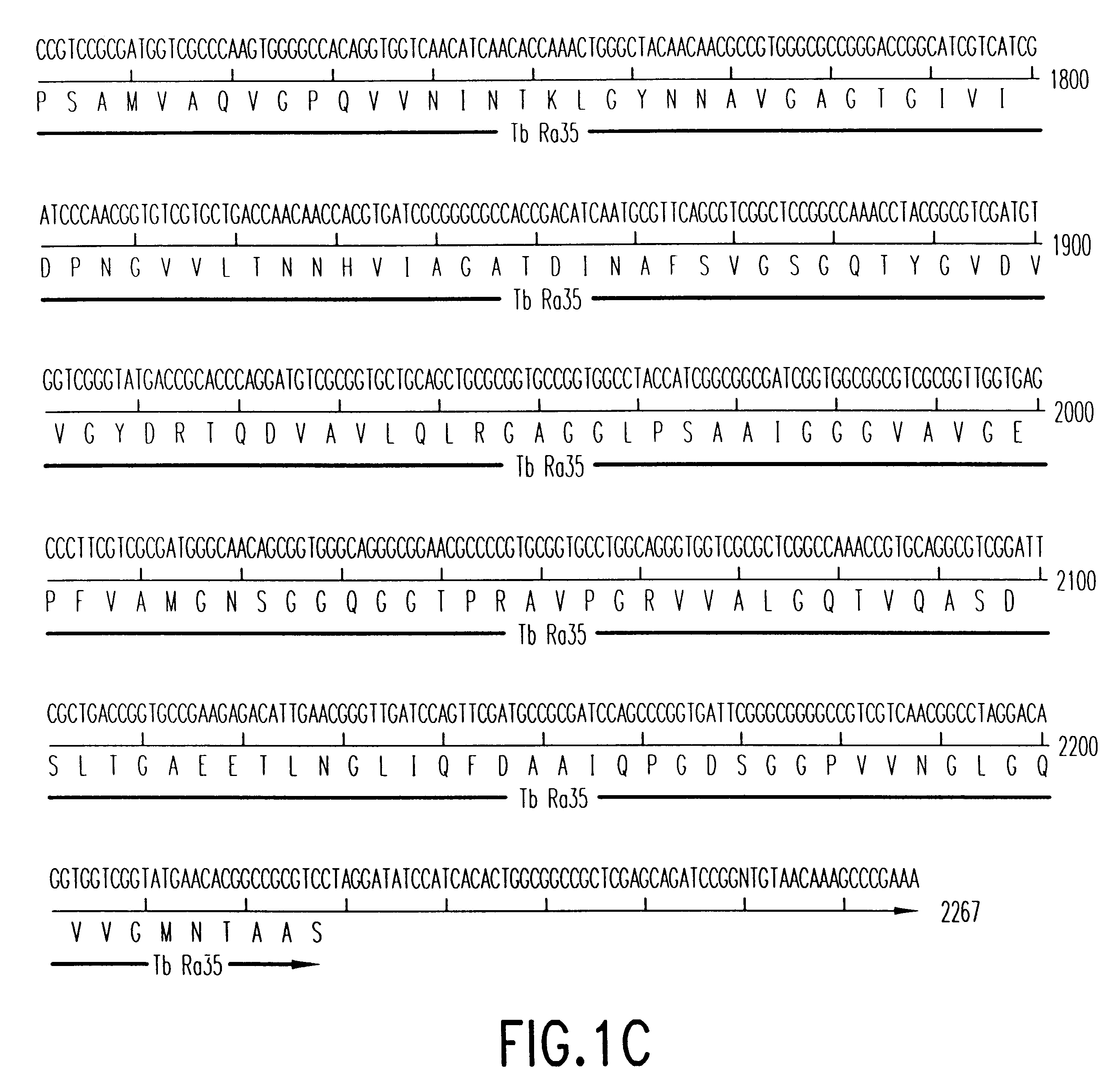 Fusion proteins of Mycobacterium tuberculosis antigens and their uses