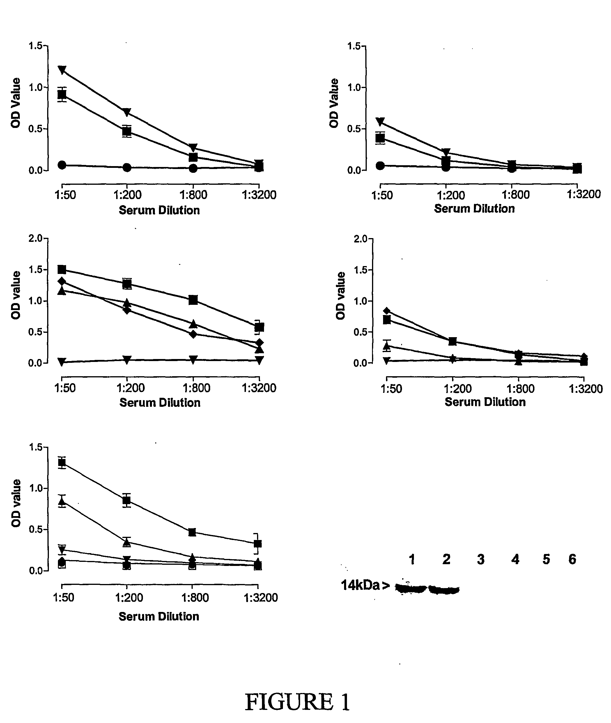 Novel compositions and uses therefor