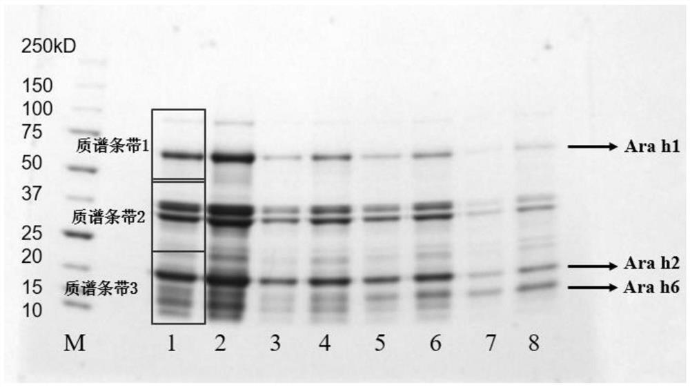 Method for detecting allergen in high oleic acid peanuts by mass spectrometry