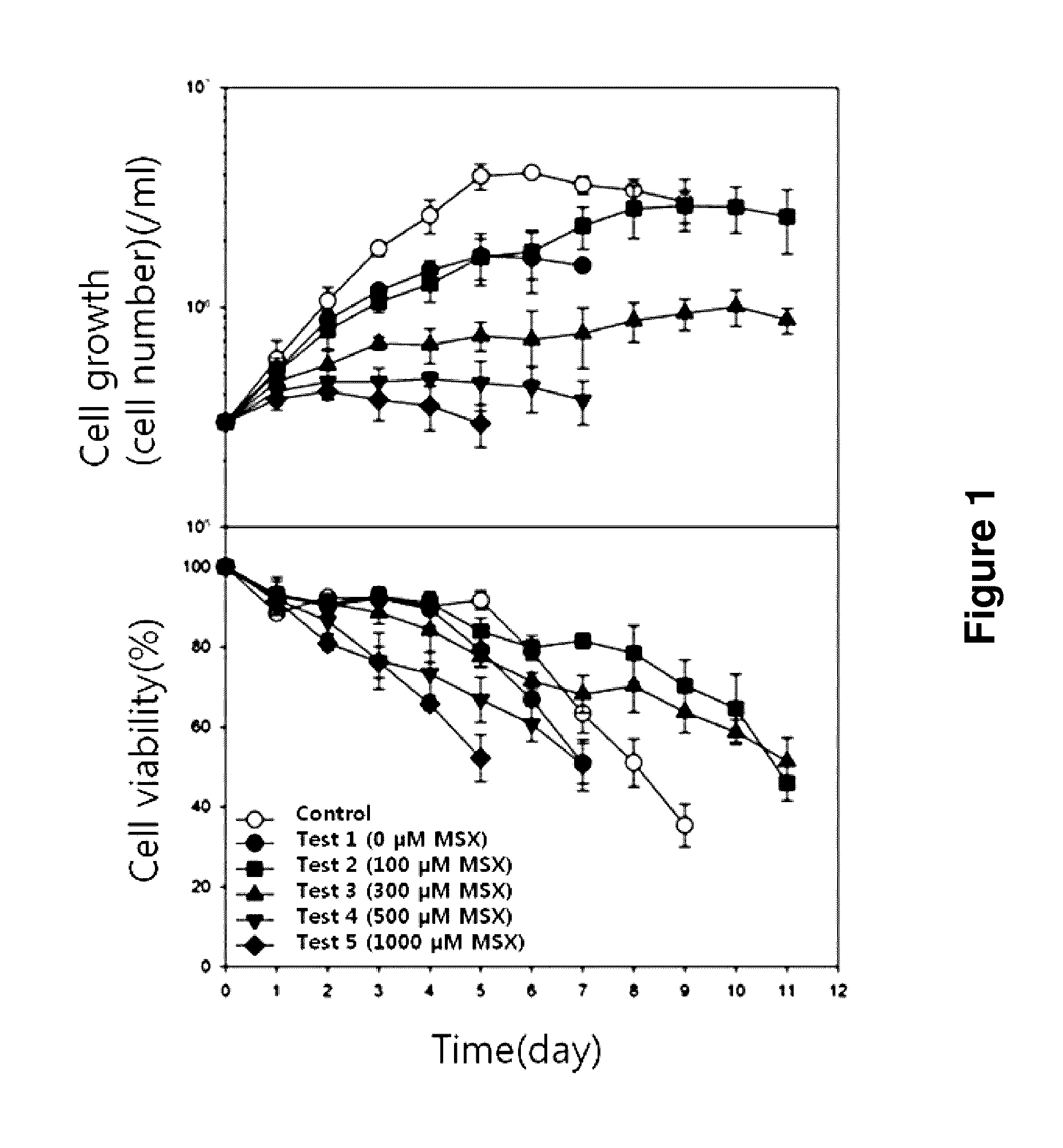 Cell line containing a knockout of the glutamine synthetase (GS) gene and a method of producing target proteins using a GS knockout HEK293 cell line