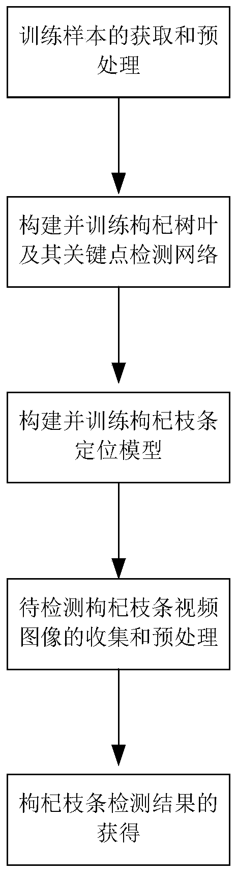 Video image Chinese wolfberry branch detection method for Chinese wolfberry harvesting and clamping device