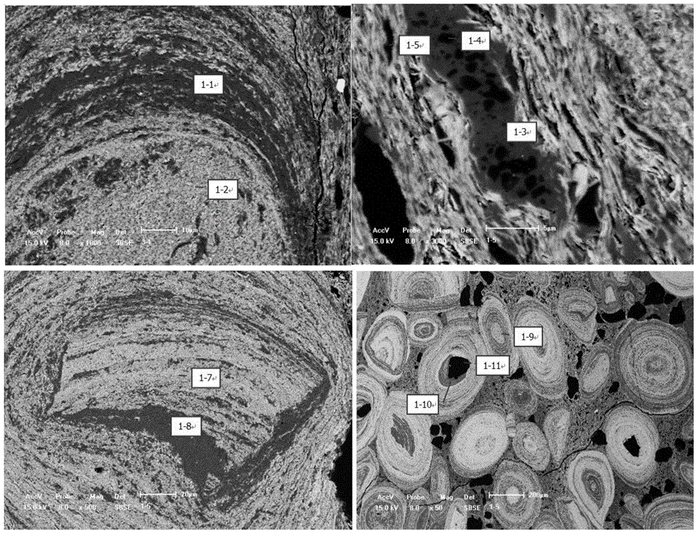 A method for combining iron extraction and dephosphorization with reduction smelting and separation of low-poor and high-phosphorus refractory iron/manganese ore