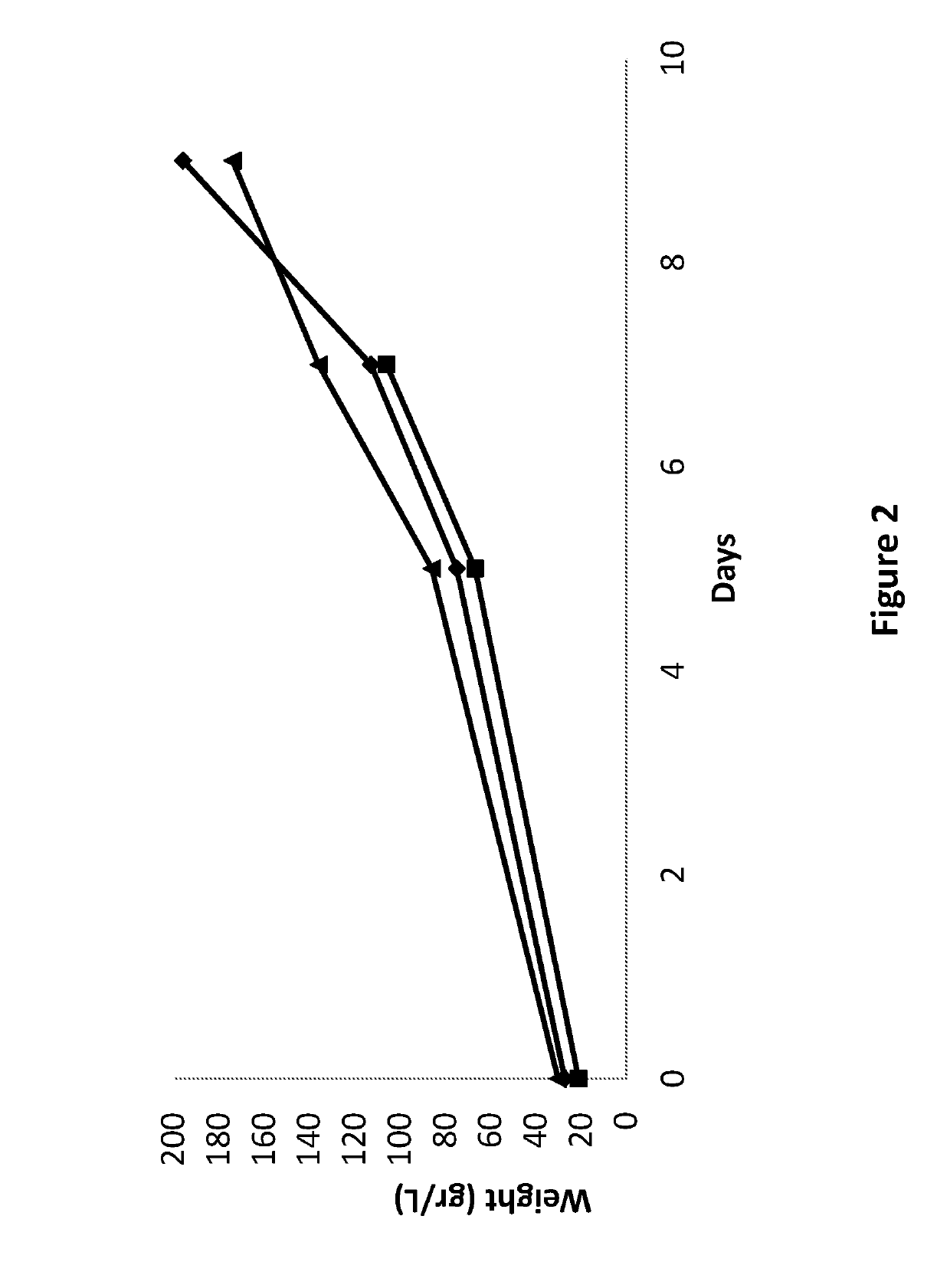 Olive derived cell culture and methods for preparing and using the same