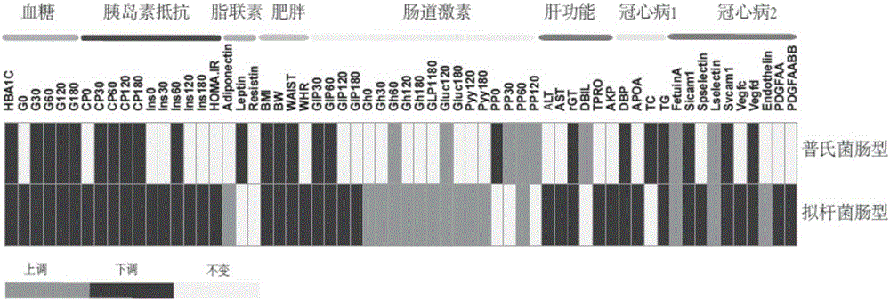 Intestinal metagenome feature as type-2 diabetes acarbose curative effect selection marker