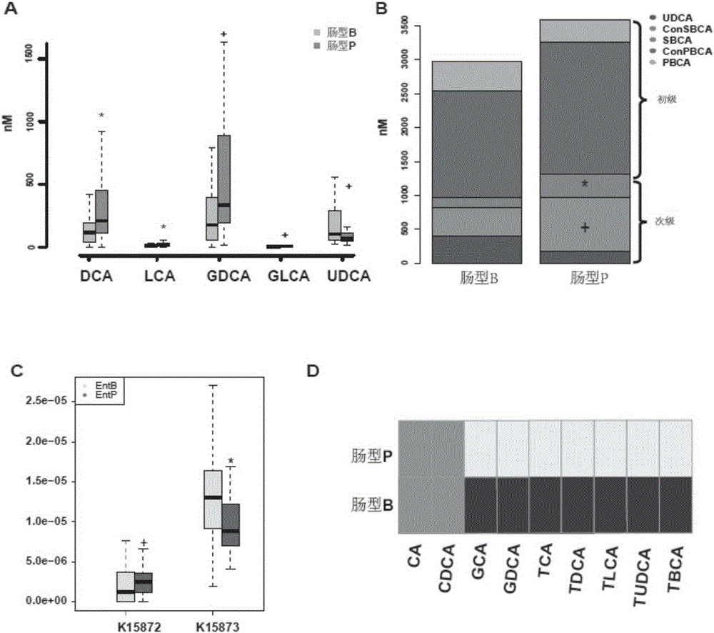 Intestinal metagenome feature as type-2 diabetes acarbose curative effect selection marker