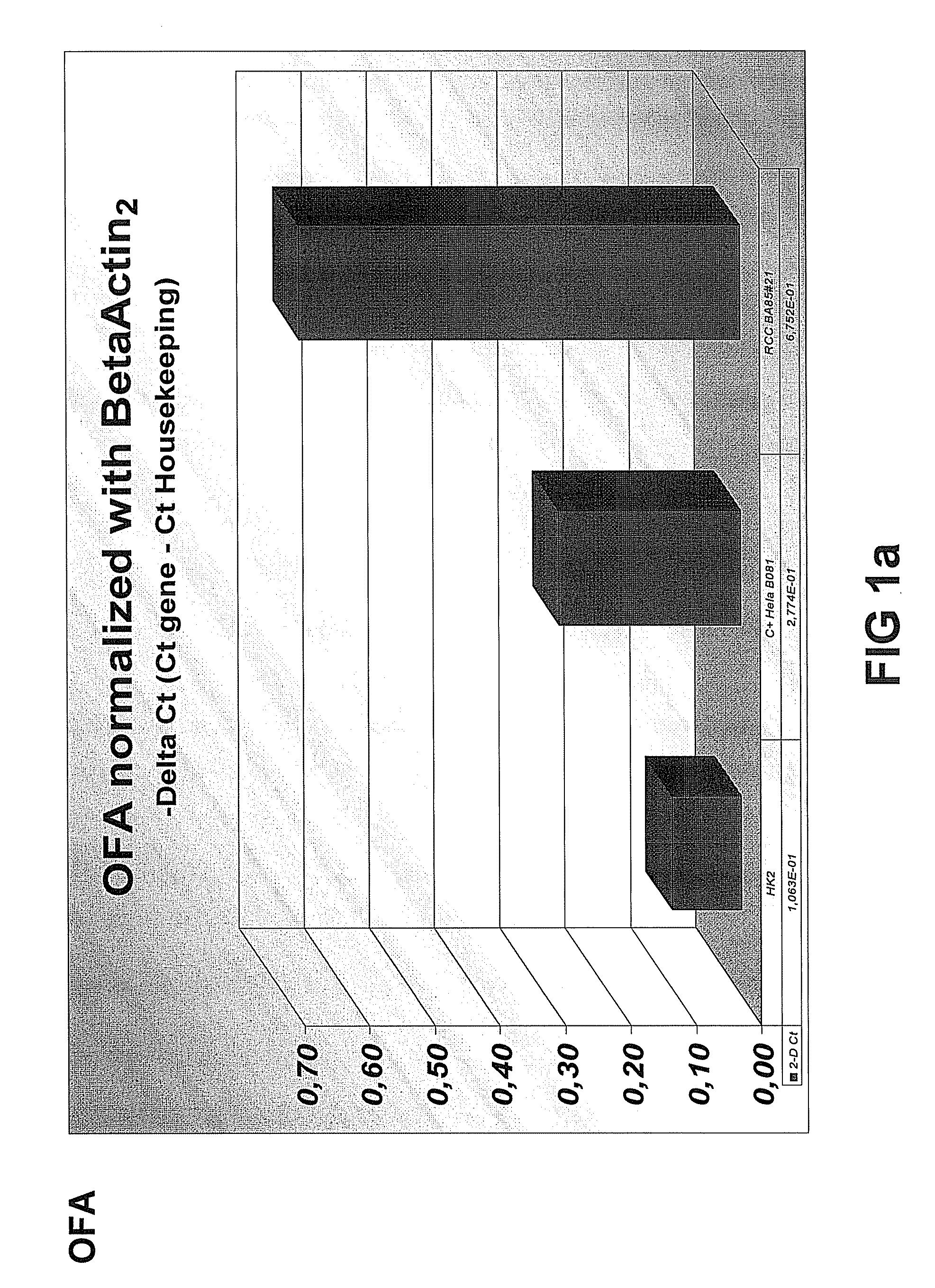 Renal Carcinoma Cell Line and Uses thereof
