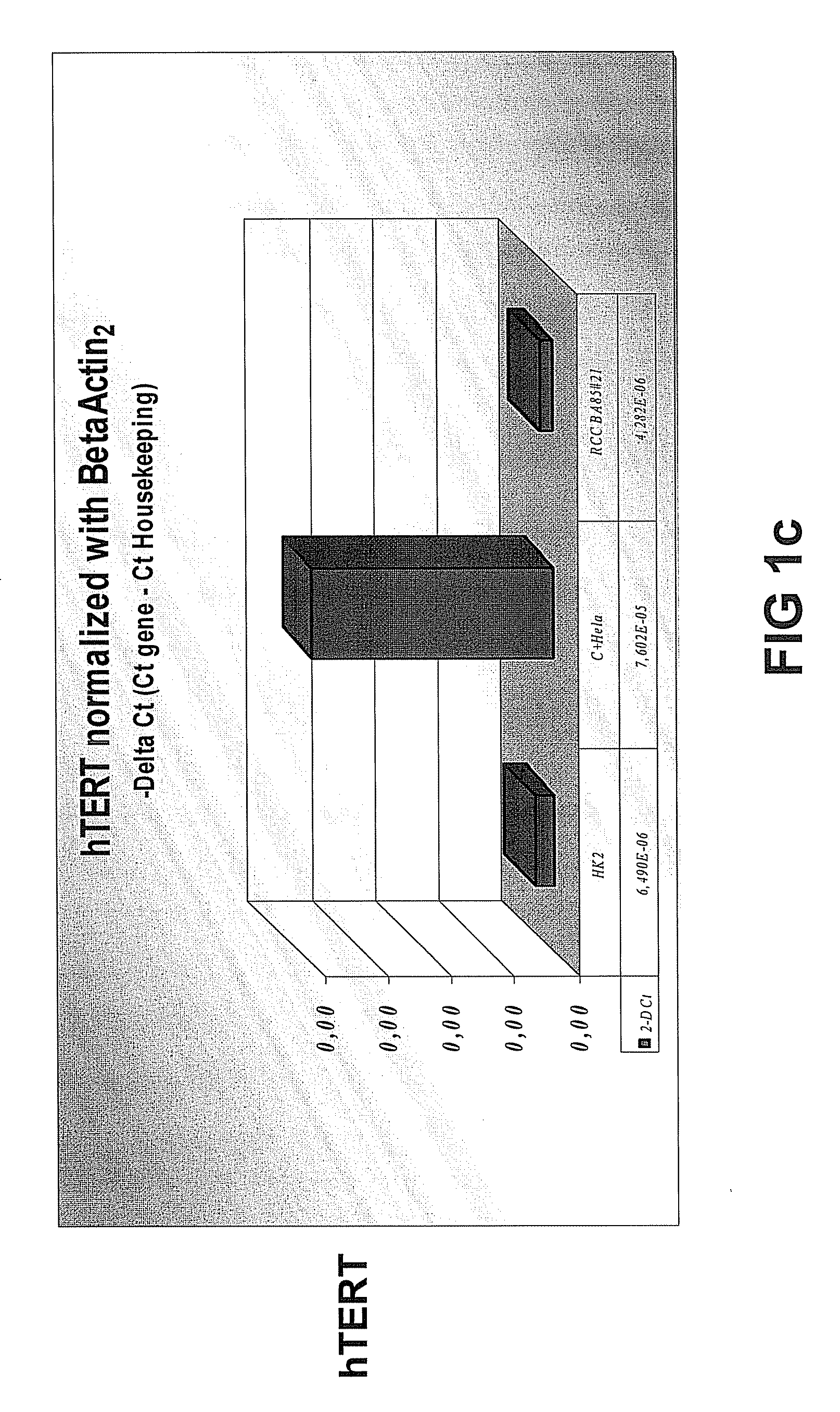 Renal Carcinoma Cell Line and Uses thereof