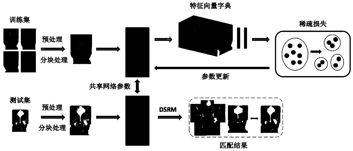 Small sample face recognition method combining sparse representation and neural network