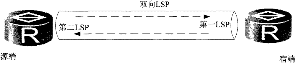 Method, system and equipment for establishing bidirectional forwarding detection (BFD) for bidirectional LSP