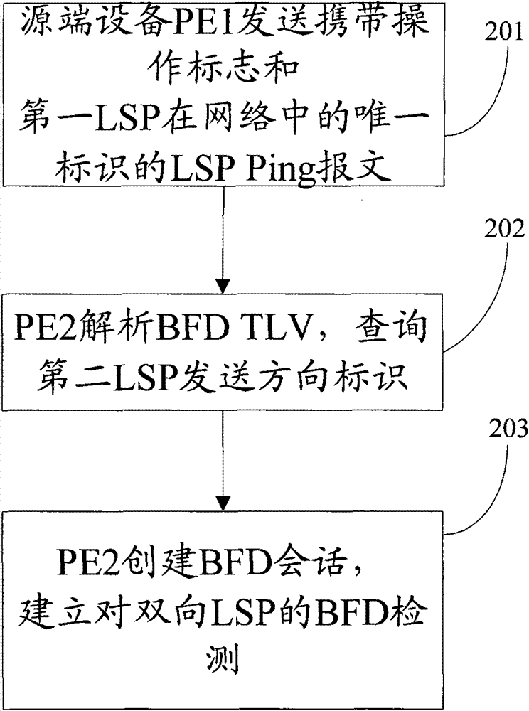 Method, system and equipment for establishing bidirectional forwarding detection (BFD) for bidirectional LSP