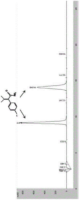 Amidase, coding gene and applications thereof