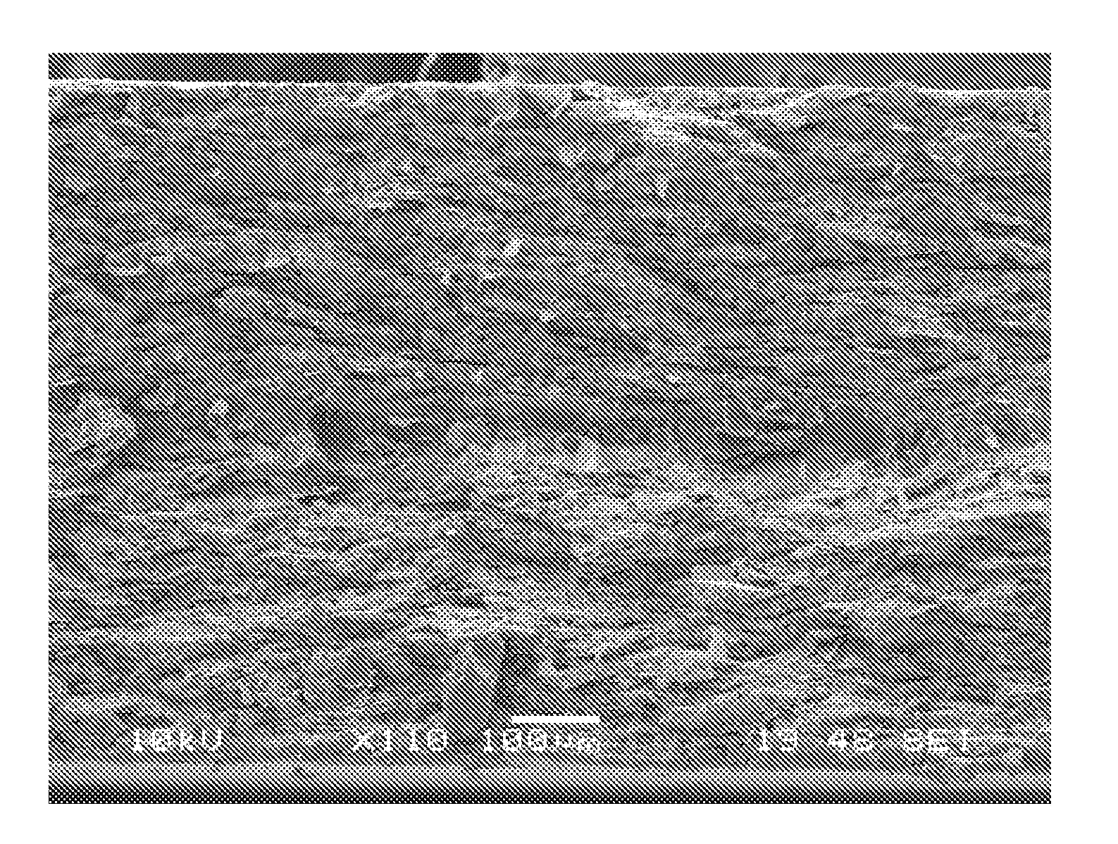 Highly thermally conductive resin molded article