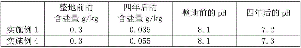 Method for planting Medicago sativa in low-lying saline-alkaline land