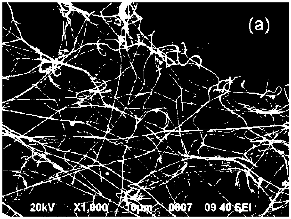 Preparation method of P-type zinc oxide micro/nano fibers