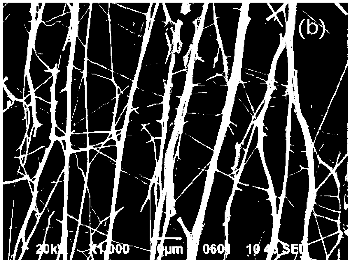 Preparation method of P-type zinc oxide micro/nano fibers