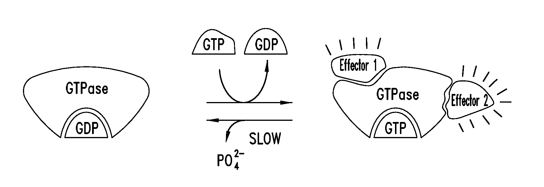 Covalent inhibitors of kras g12c