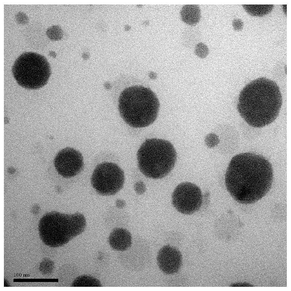 An amphiphilic polymer prodrug that releases the original drug in response to reduction and its preparation method and application