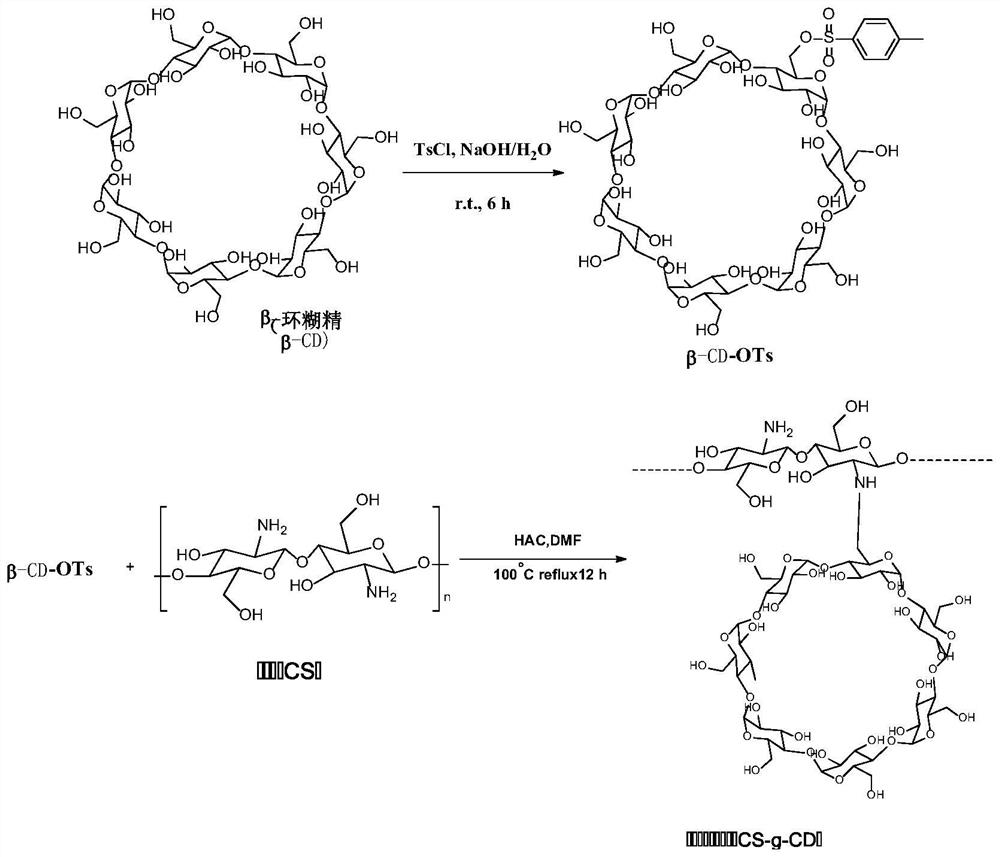 Vaccine based on cyclodextrin grafted chitosan, preparation method and application