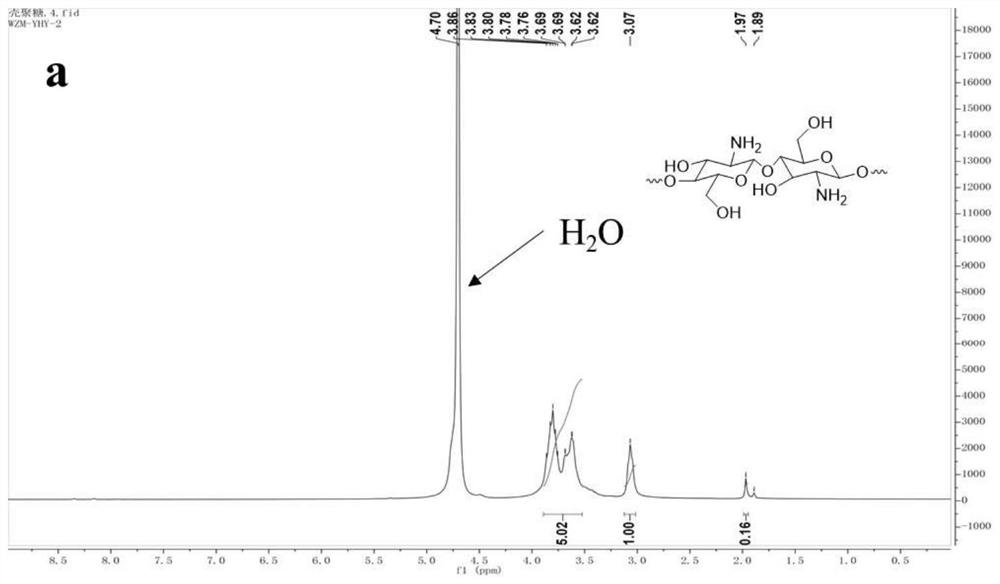 Vaccine based on cyclodextrin grafted chitosan, preparation method and application