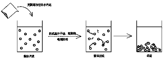 Sludge dehydrating agent as well as preparation method and application thereof