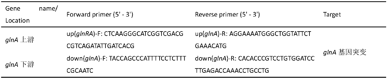 Ammonium-resistant nitrogen-fixing microorganism of which gene glnA is lost and constructing method and application thereof