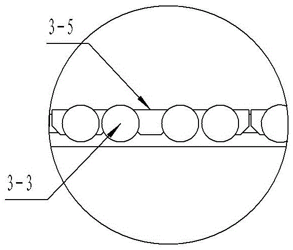 Method for detecting silkworm cocoon quality