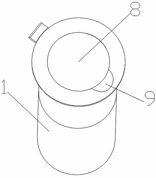 Microalbumin detection freeze-drying reagent and reaction tube pre-storing freeze-drying reagent