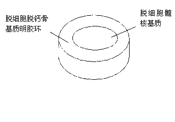 Annulus fibrosus and nucleus pulposus integrated composite biphasic scaffold and construction method thereof