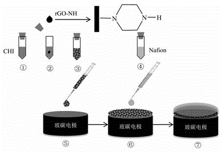 Biosensor used for detecting DNA (deoxyribonucleic acid) bases and constructed on basis of working electrode modified by piperazine modified reducing graphene oxide