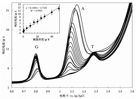 Biosensor used for detecting DNA (deoxyribonucleic acid) bases and constructed on basis of working electrode modified by piperazine modified reducing graphene oxide