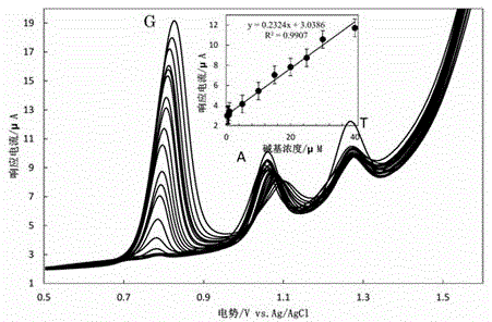 Biosensor used for detecting DNA (deoxyribonucleic acid) bases and constructed on basis of working electrode modified by piperazine modified reducing graphene oxide