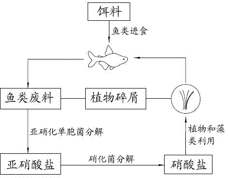 Fish and vegetable co-existing system and use and control method thereof