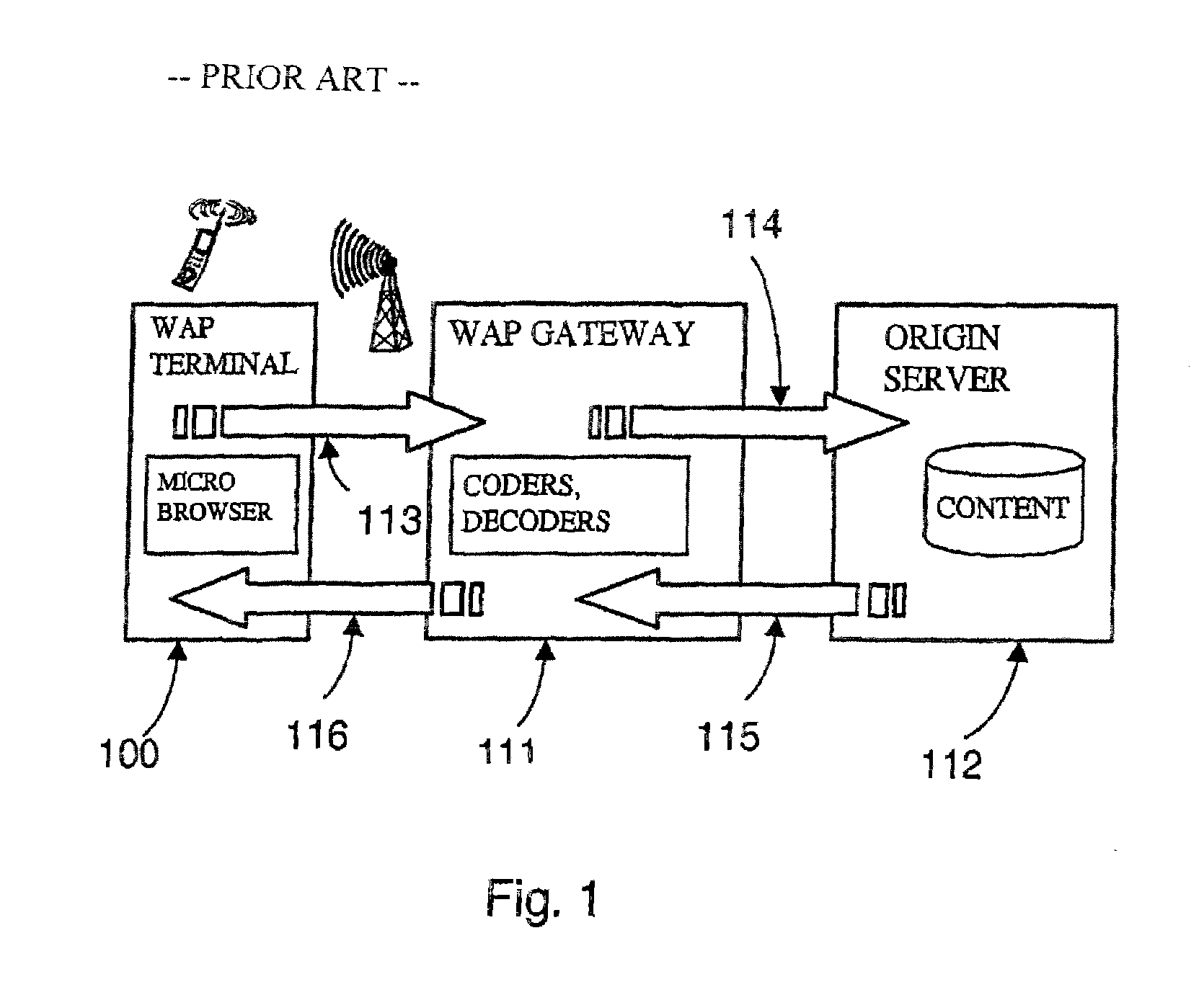 Shared application access for data services in wireless telecommunication systems