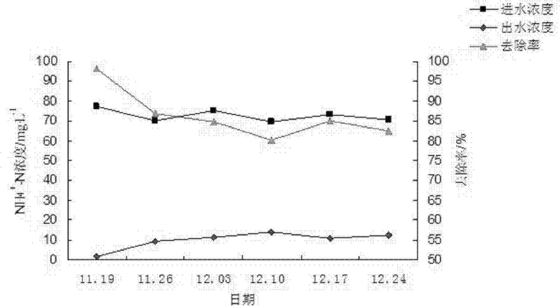 Application of aucuba japonica in treating livestock and poultry raising wastewater