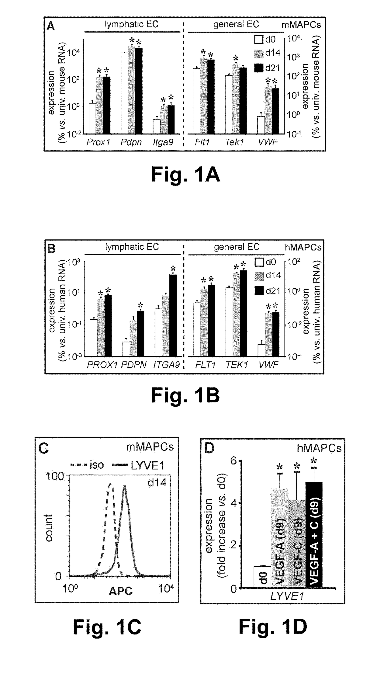 Stem cells for wound healing