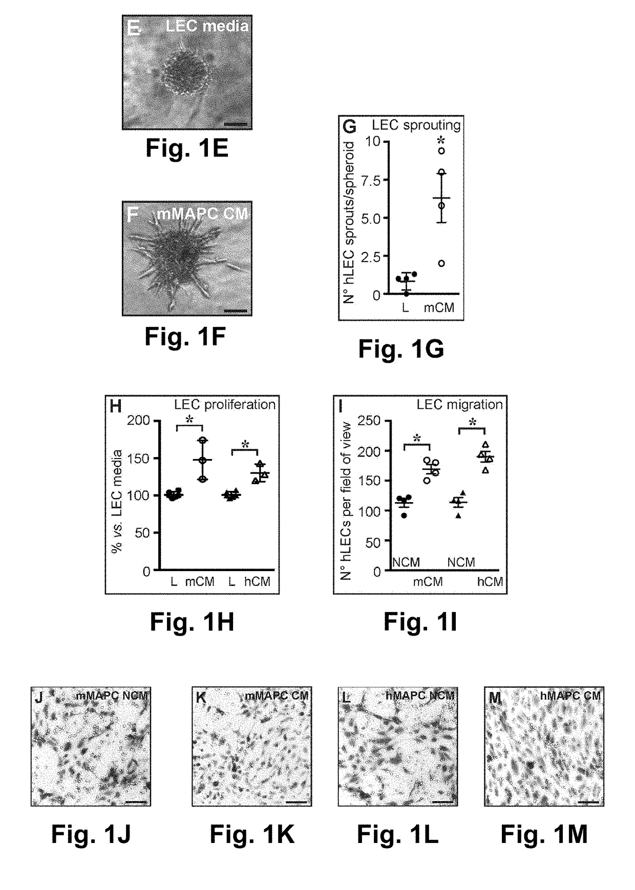 Stem cells for wound healing