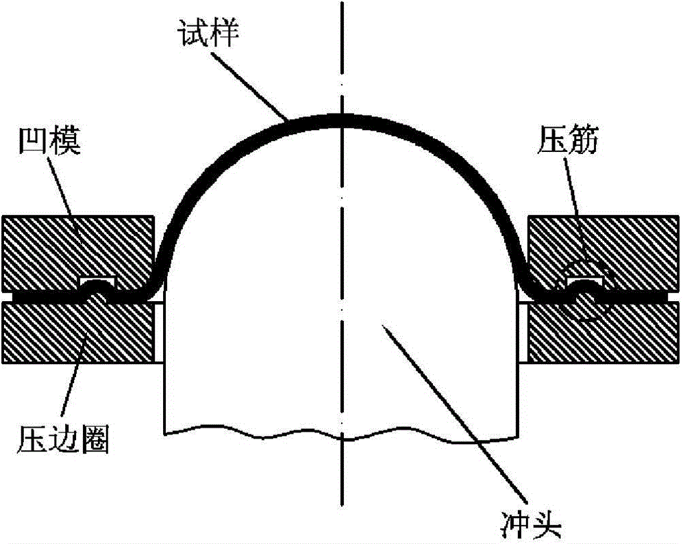 FLC (forming limit curve) testing method based on variation of strain rate